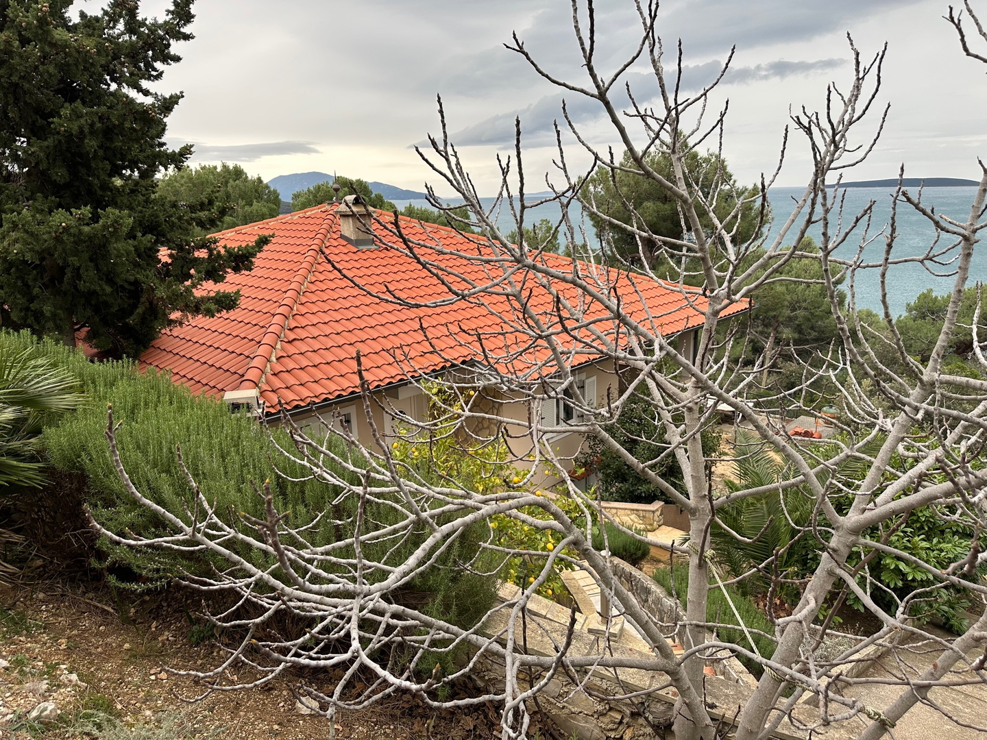 Martinscica, Zaglav, Island Cres - House, 200 m2