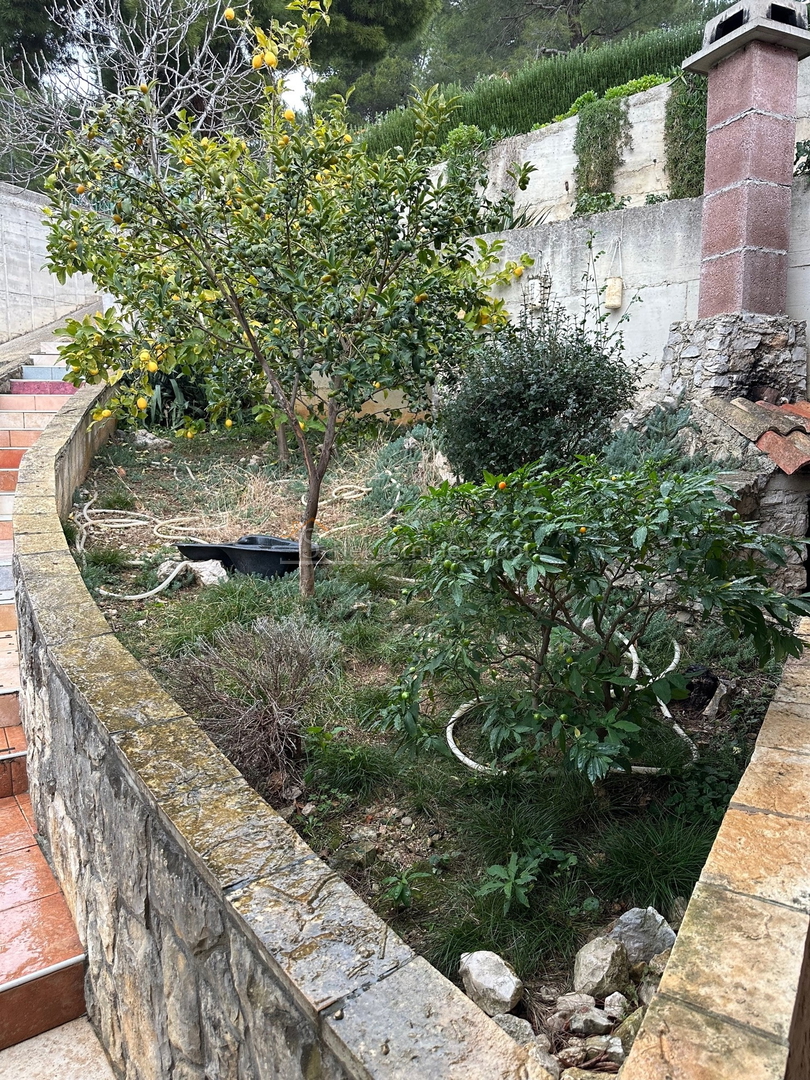 Martinscica, Zaglav, Island Cres - House, 200 m2