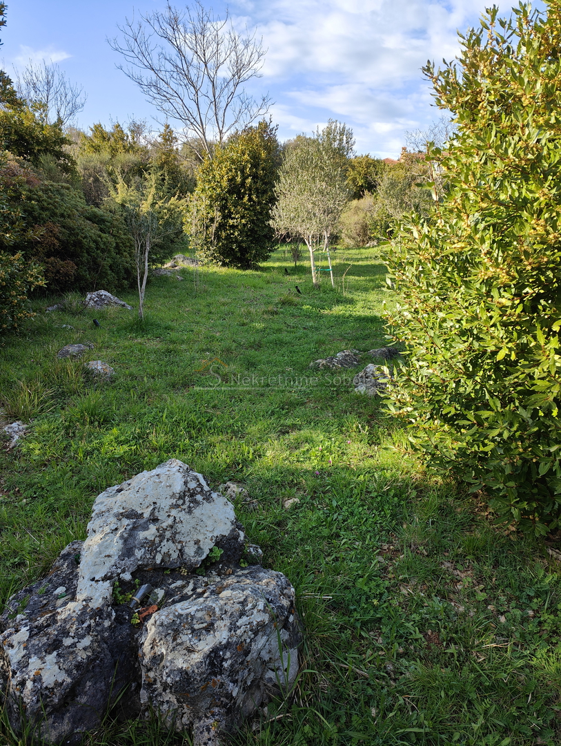 Nerezine, Otok Lošinj - Kuća, 153 m2