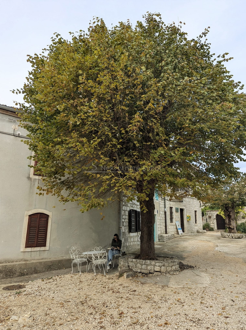 Osor, Island Cres - House, 92 m2