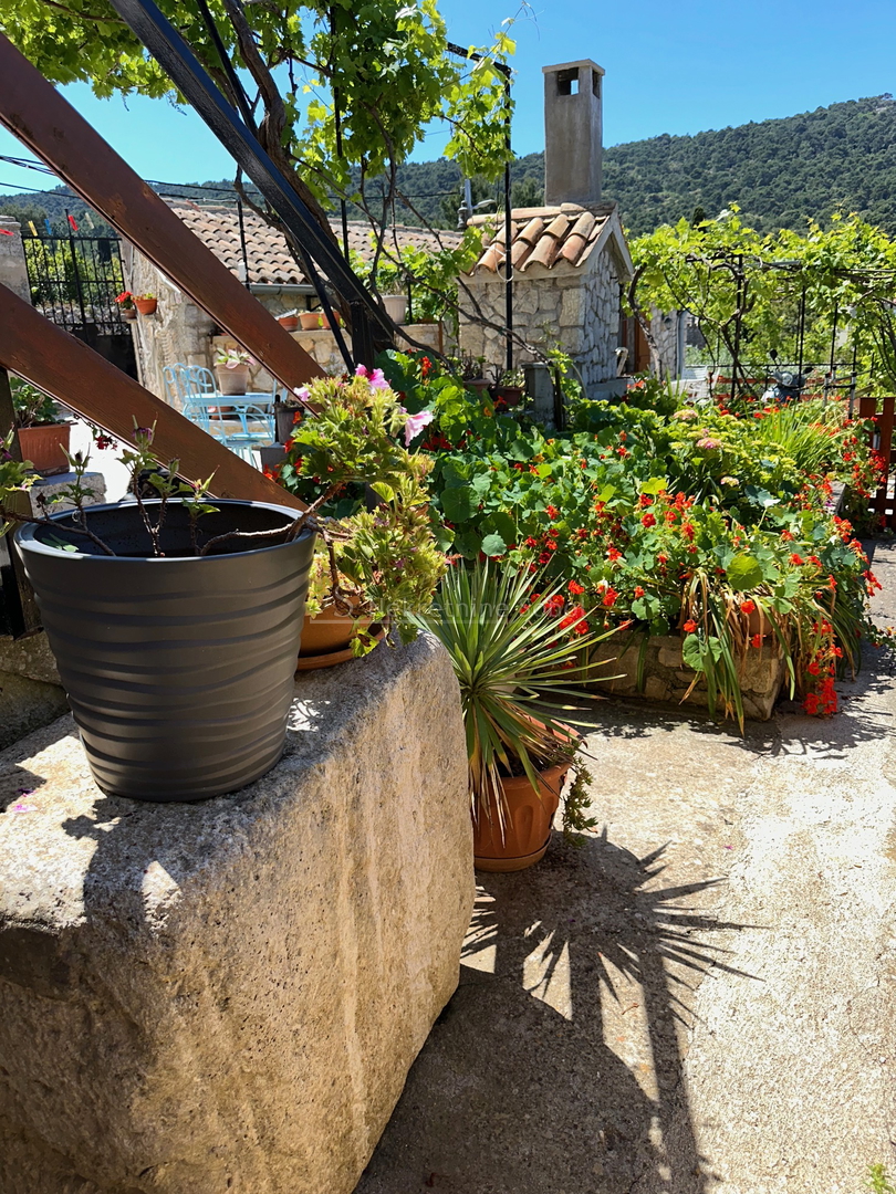 Veli Losinj, Island Losinj - House, 181.35 m2