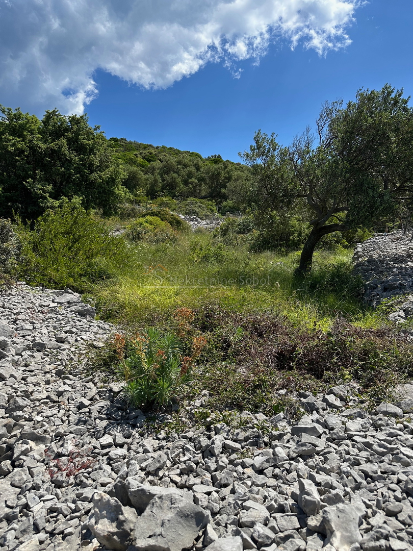 Cunski, Island Losinj - Building land, 630 m2