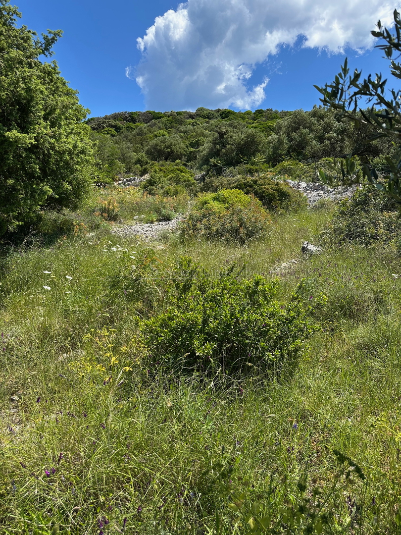 Cunski, Island Losinj - Building land, 630 m2