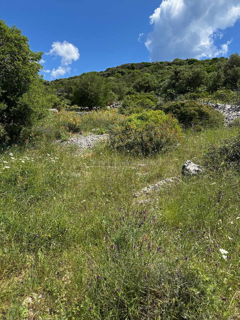 Cunski, Island Losinj - Building land, 630 m2
