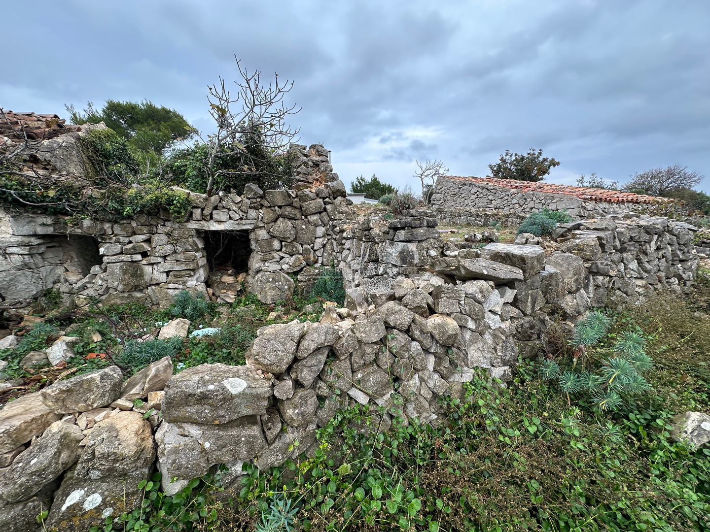 Belej, Otok Cres - Kuća (Ruševina), 20 m2