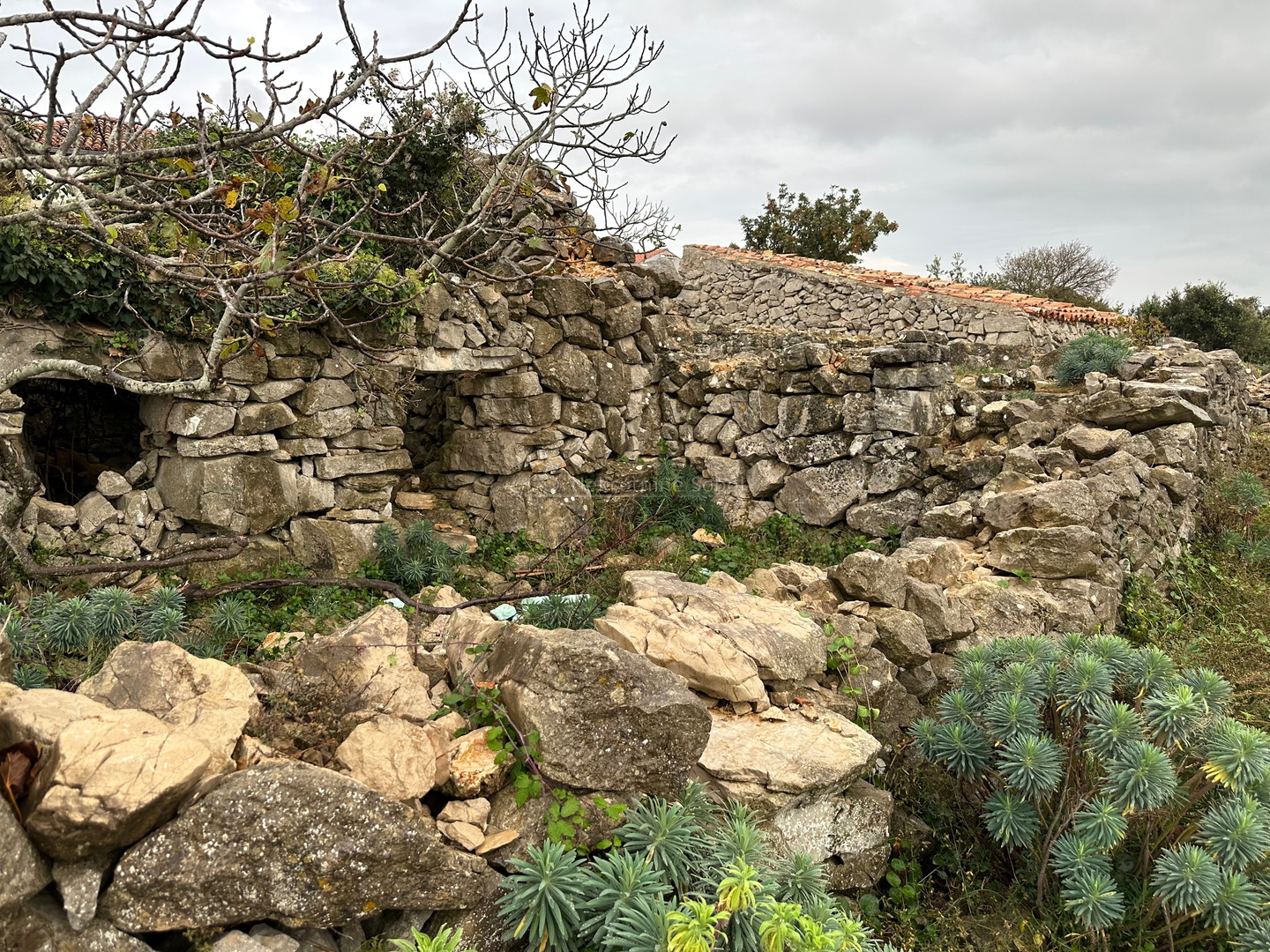 Belej, Otok Cres - Kuća (Ruševina), 20 m2