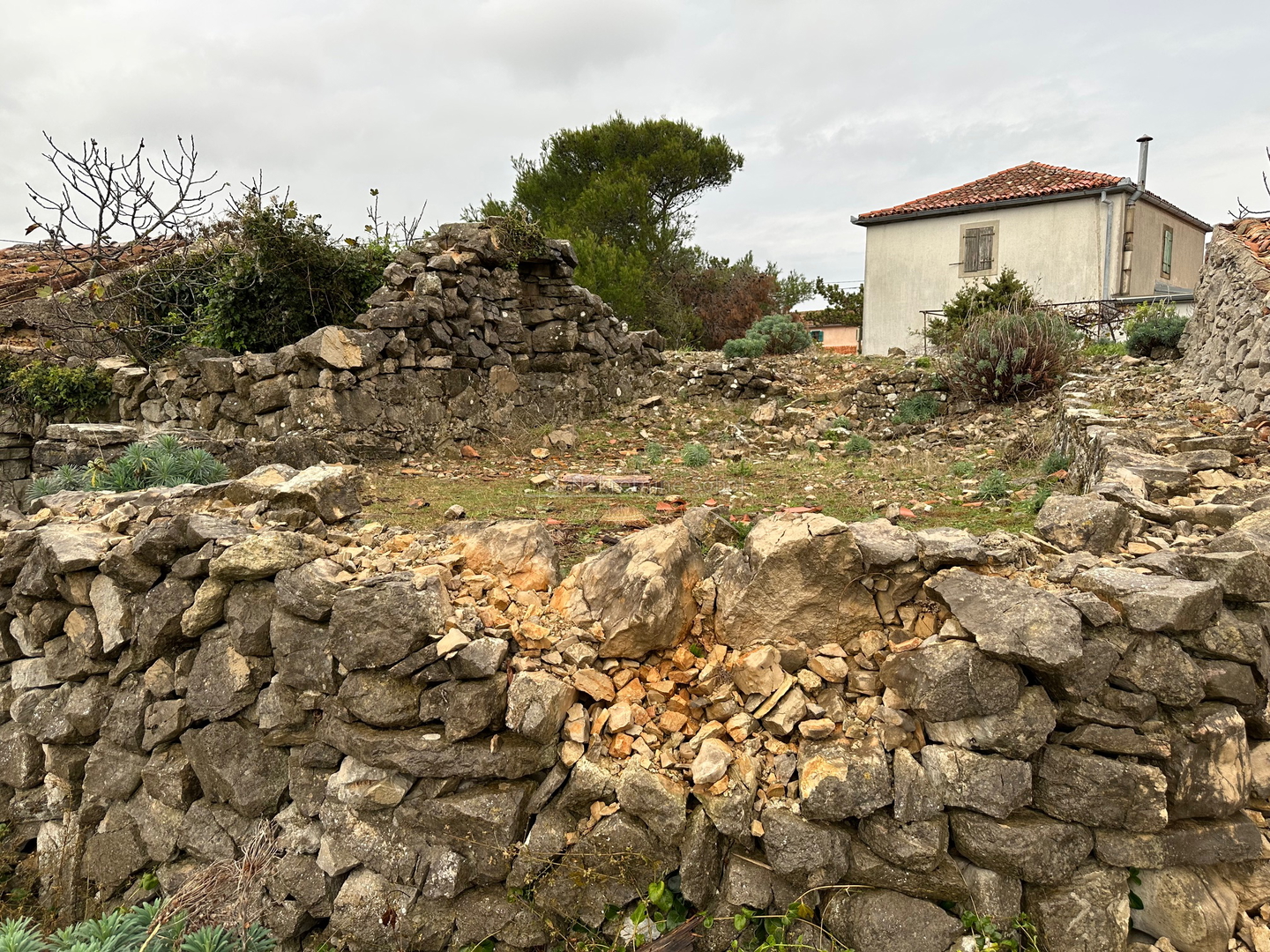 Belej, Otok Cres - Kuća (Ruševina), 20 m2