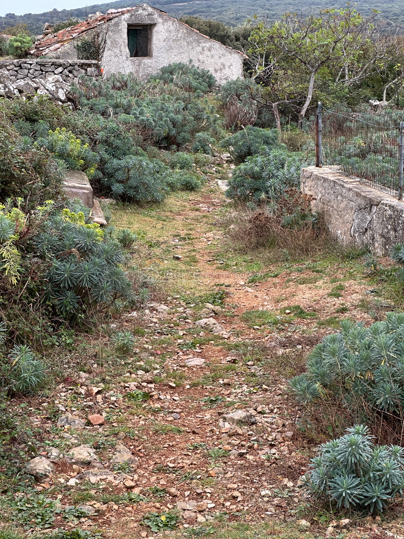 Belej, Otok Cres - Kuća (Ruševina), 20 m2