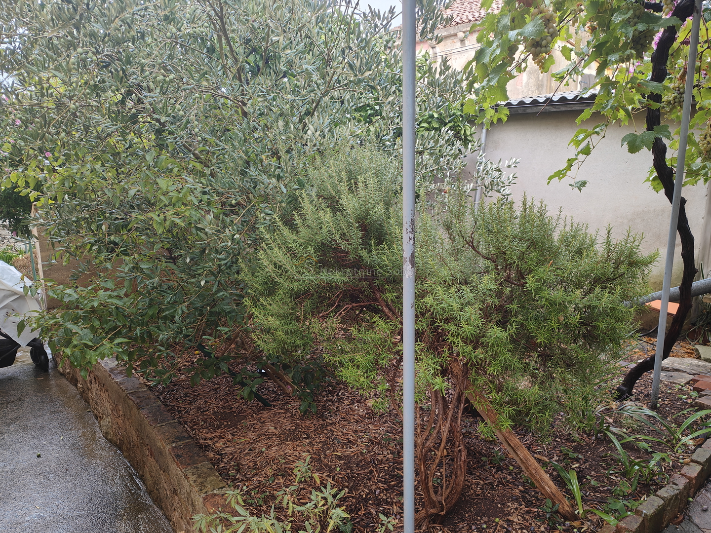 Mali Lošinj - Kuća, 66.44 m2