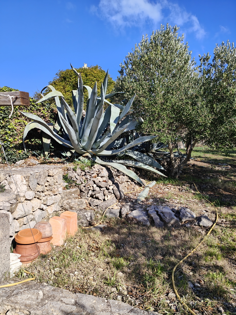 Stivan, Otok Cres - Kuća, 166.57 M2