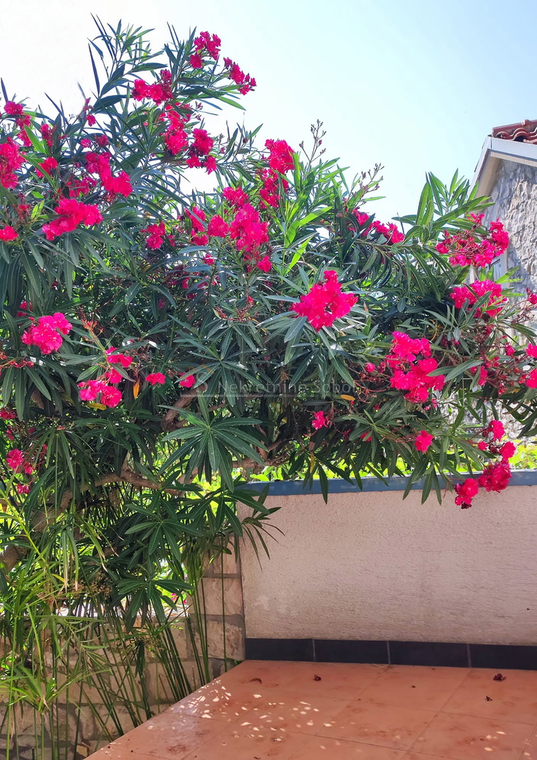 Susak, Island Susak - House, 92 m2