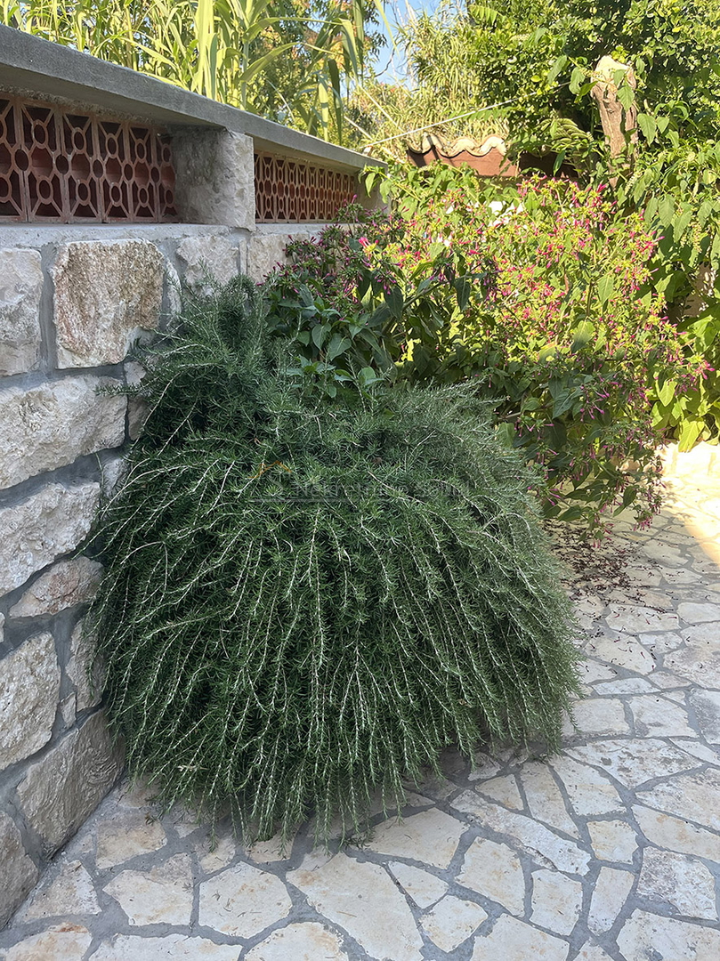 Susak, Island Susak - House, 92 m2