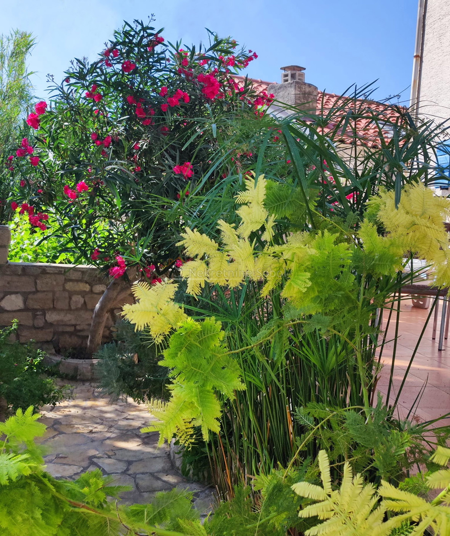 Susak, Island Susak - House, 92 m2