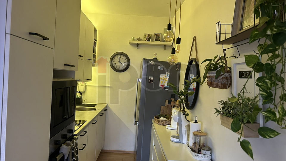 G.Drenova, prekrasan stan 1s+db u prizemlju