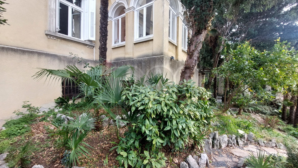 Bulevar, stan u vili, s pripadajućim suterenskim prostorom, lijepa okućnica, super lokacija!