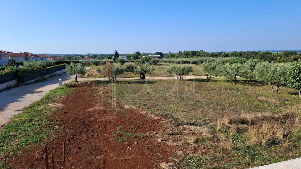 Tar-Vabriga, atraktivno građevinsko zemljište  s pogledom na more, prodajemo!