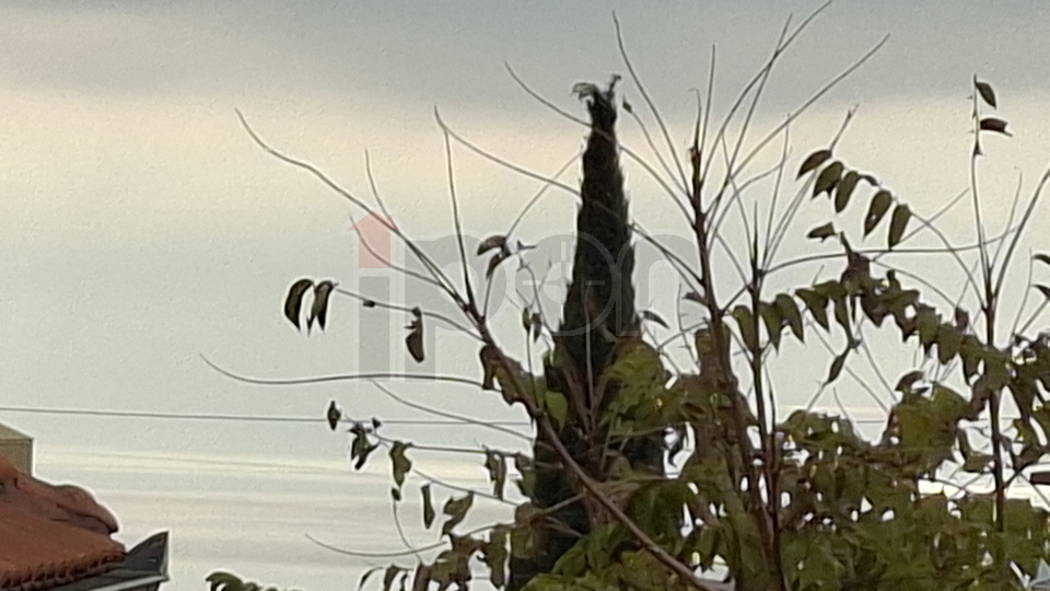 Apartment, 76 m2, For Sale, Rijeka - Zamet