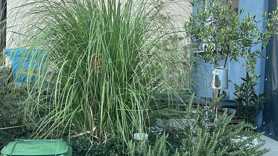 G.Drenova, prekrasan stan 1s+db u prizemlju