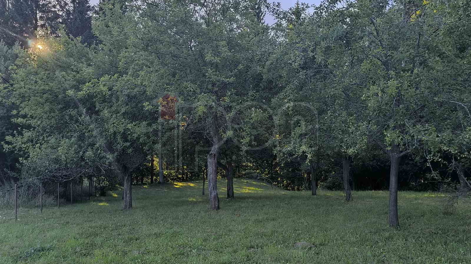 Ravna Gora, goranska kuća sa velikom okućnicom, krasno prirodno okruženje!