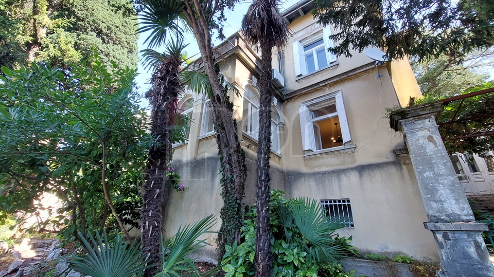 Bulevar, stan u vili, s pripadajućim suterenskim prostorom, lijepa okućnica, super lokacija!