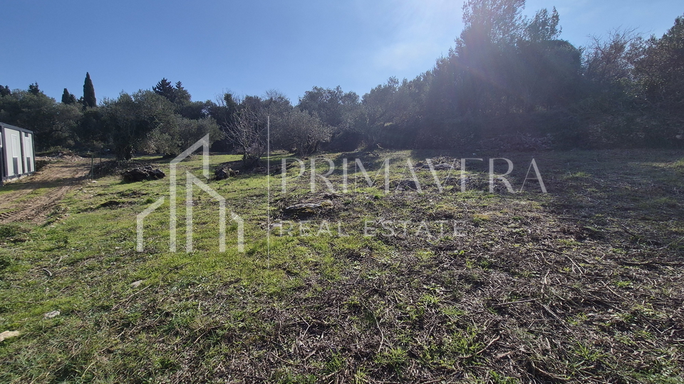 Pašman, Banj, building land, sea view, 694 sqm.