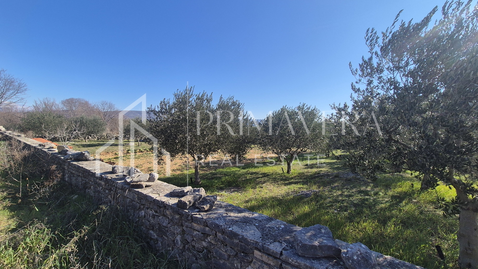 Pridraga&comma; gra&dstrok;evinsko zemlji&scaron;te&comma; 1000 m2