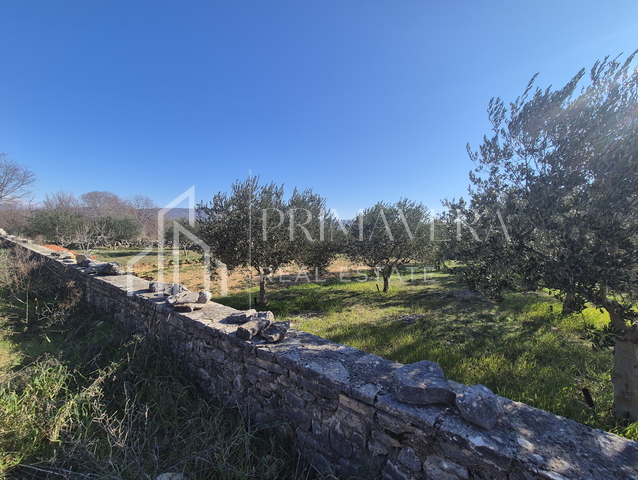 Pridraga, građevinsko zemljište, 1000 m2