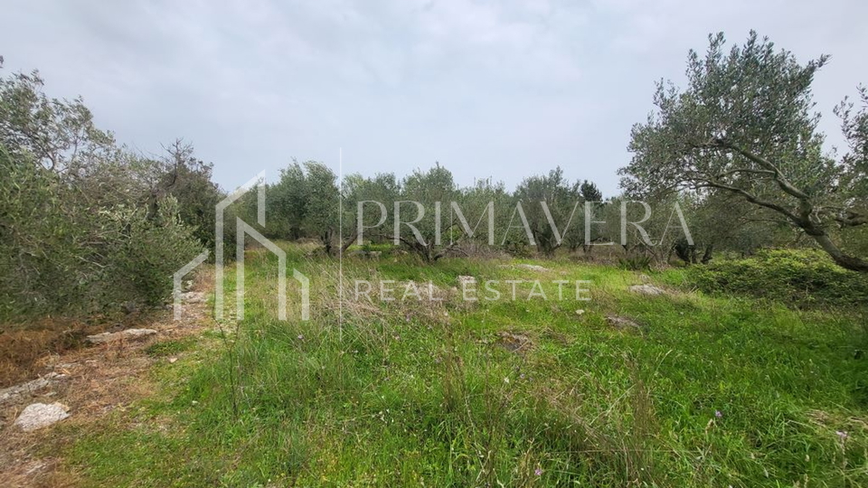 Pašman, Banj, building land, 863 m2