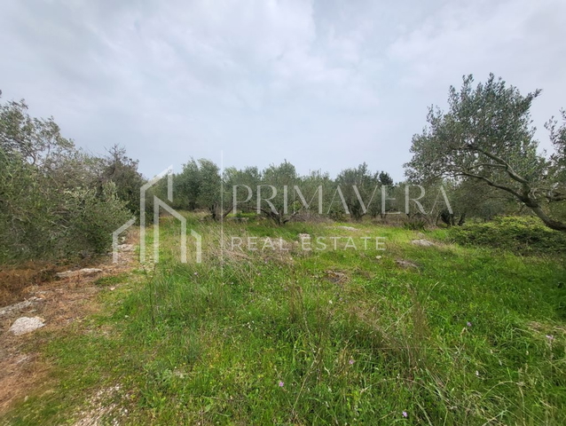 Pašman, Banj, building land, 863 m2