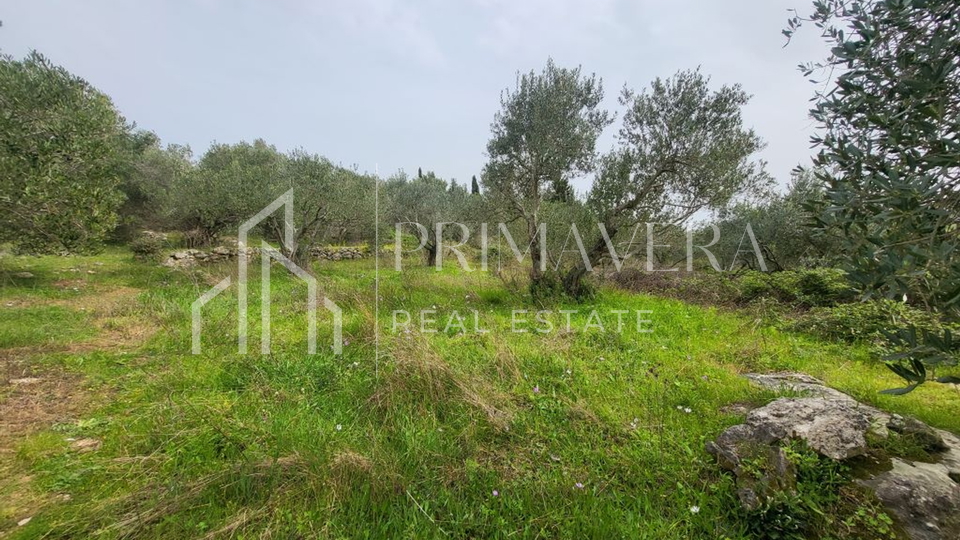 Pašman, Banj, building land, 863 m2