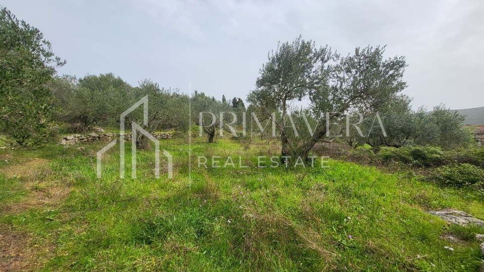 Pašman, Banj, building land, 863 m2