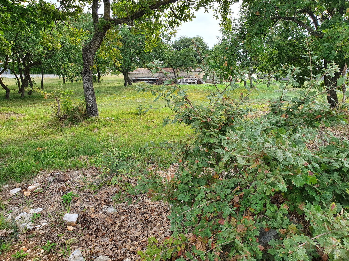 NIN - građevinsko zemljište