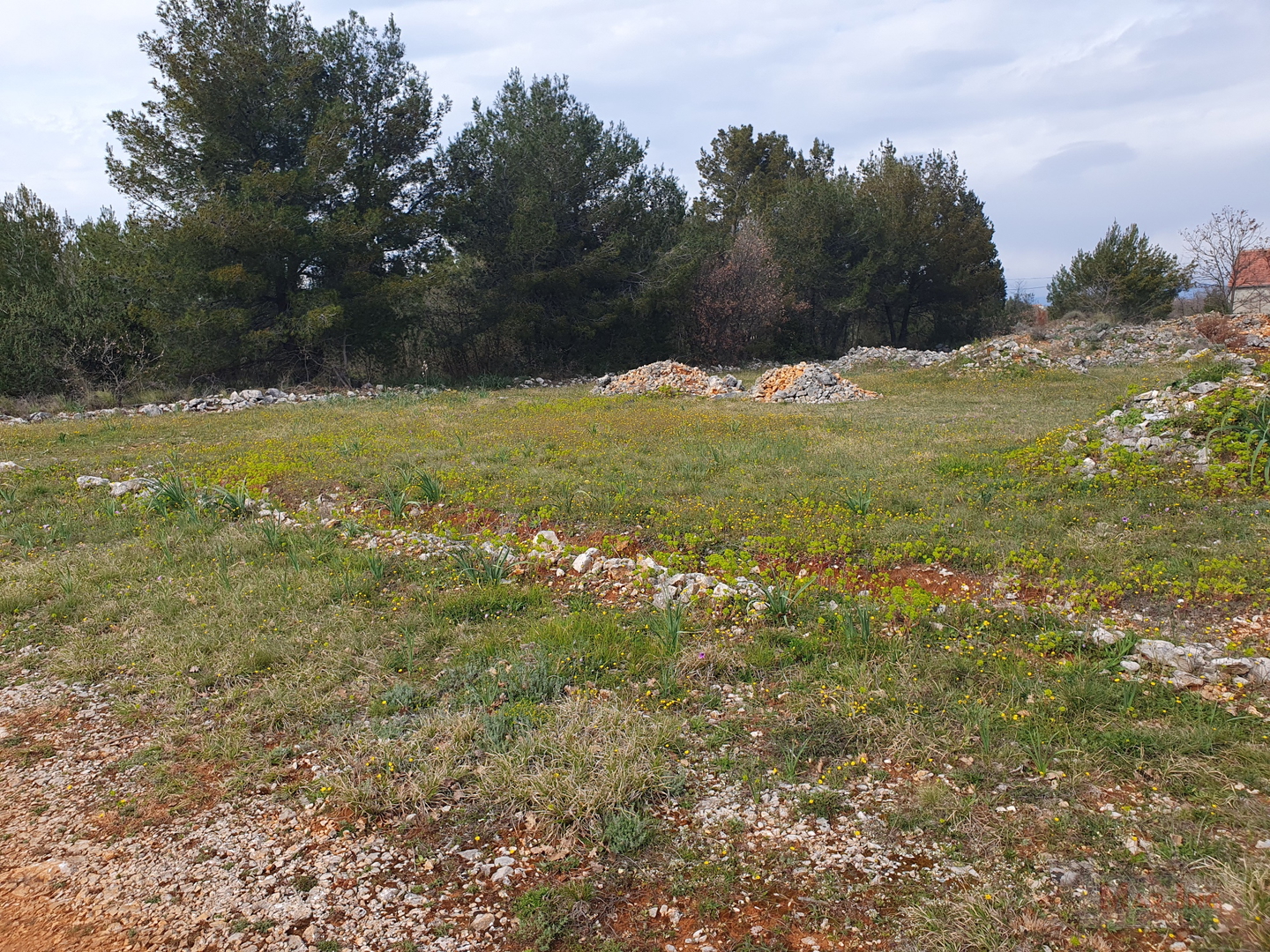 MURVICA - zemljište sa dozvolom za gradnju