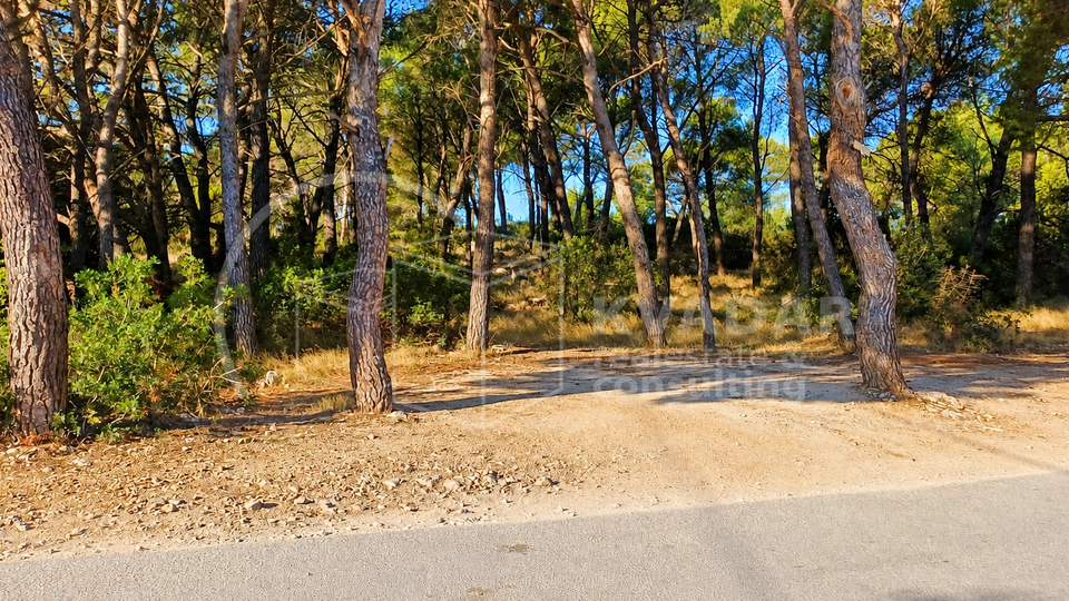 TRIBUNJ&sol;GRA&Dstrok;&period; ZEMLJI&Scaron;TE 200 M OD MORA&sol;MIRNA LOKACIJA&sol;veli&ccaron;ina 678 m2