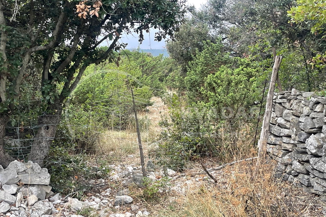 TEREN 11.747 m2 u Gornjem Humcu - otok Brač - moguća prenamjena