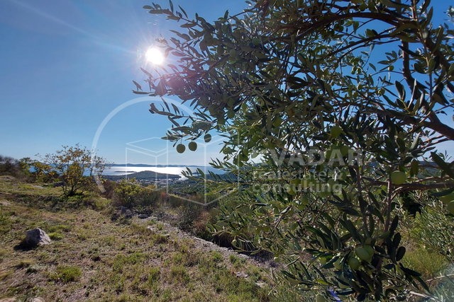 TRIBUNJ, POLJOPR. ZEMLJIŠTE, 1.813 M2, VRHUNSKA LOKACIJA I POGLED