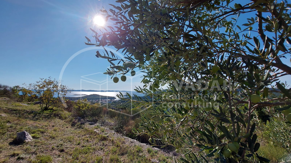 TRIBUNJ&comma; POLJOPR&period; ZEMLJI&Scaron;TE&comma; 1&period;813 M2&comma; VRHUNSKA LOKACIJA I POGLED