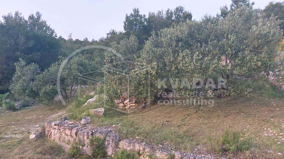 TRIBUNJ&comma; POLJOPR&period; ZEMLJI&Scaron;TE&comma; 1&period;813 M2&comma; VRHUNSKA LOKACIJA I POGLED