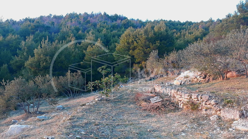 TRIBUNJ&comma; POLJOPR&period; ZEMLJI&Scaron;TE&comma; 1&period;813 M2&comma; VRHUNSKA LOKACIJA I POGLED