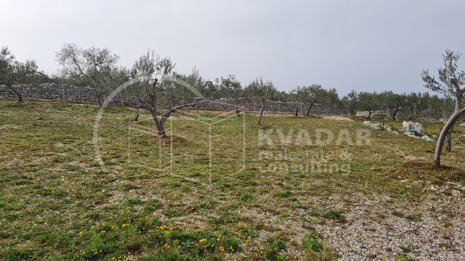Land, 22920 m2, For Sale, Supetar