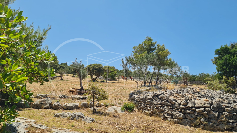 Land, 22920 m2, For Sale, Supetar