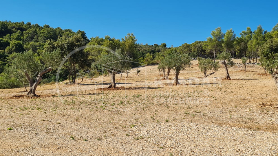 Land, 22920 m2, For Sale, Supetar