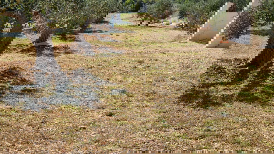 Land, 22920 m2, For Sale, Supetar