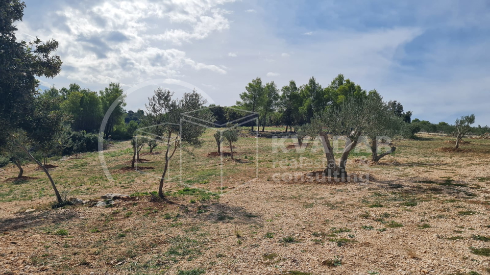 Land, 22920 m2, For Sale, Supetar