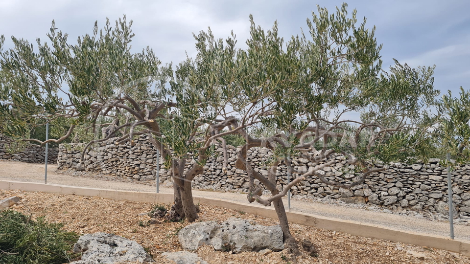 Land, 22920 m2, For Sale, Supetar