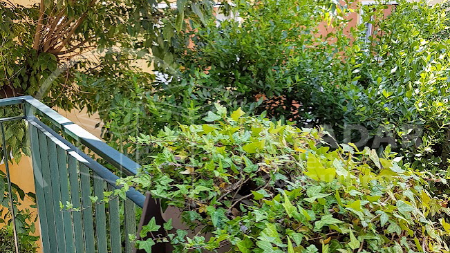 Belveder/odlična lokacija/najam lijepog 3-sobnog stana 68,09m2!