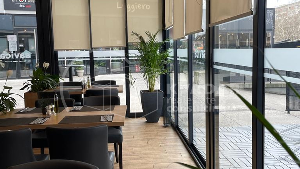 Commercial Property, 148 m2, For Sale, Zagreb - Savica