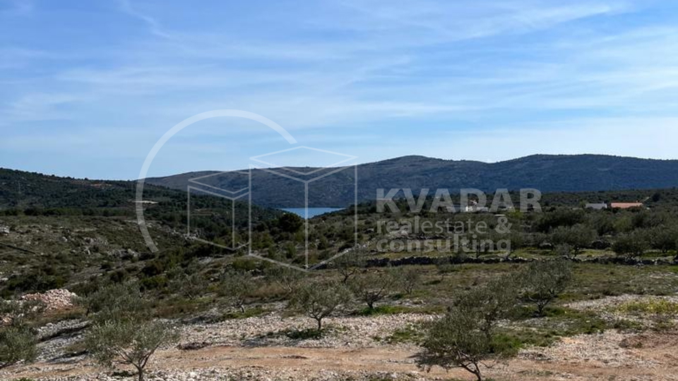 Stambeno - gospodarski objekat sa maslinikom na čestici od 7000m2