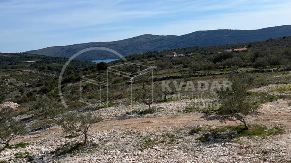 Stambeno - gospodarski objekat sa maslinikom na čestici od 7000m2