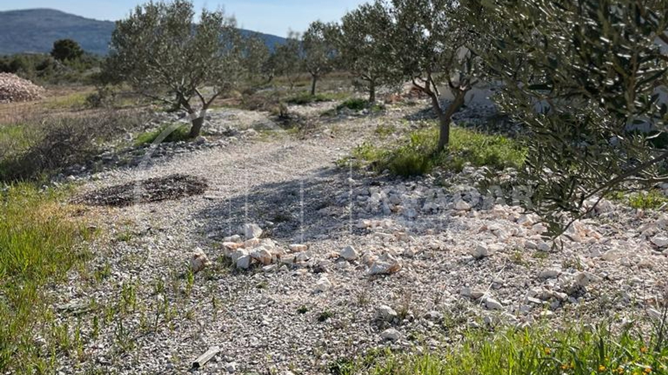 Stambeno - gospodarski objekat sa maslinikom na čestici od 7000m2